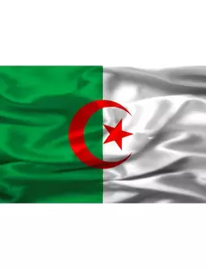 Algeries supporterflagg