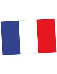 Frankrike supporterflagg 150 x 90 cm