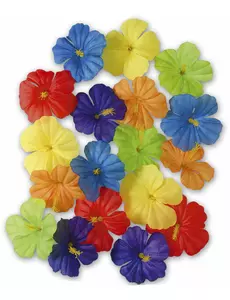 Flerfargede blomster