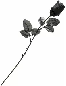 Svart rose