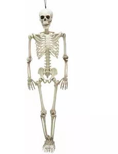 90 cm Halloween-leddskjelett