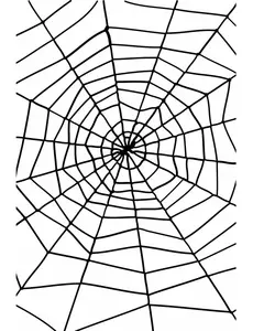 Halloween-edderkoppnett 1,5 m
