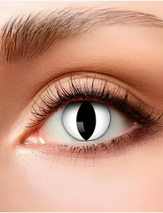 Cat eye fancy linser 3 måneder voksen