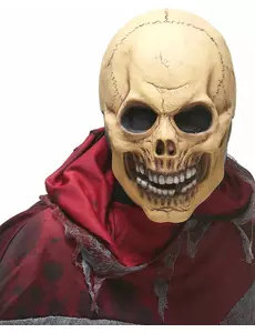 Adult scary skull latex mask