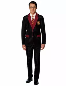 Mr. Gryffindor Adult Suitmeister Costume, Size: Large (EU 52-54)