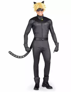 Miraculous Cat Noir adult costume box, Size: Small