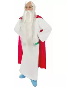 Panoramix Druid-kostyme til voksne - Asterix og Obelix, Størrelse: Medium