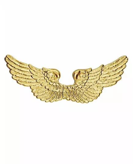 Golden angel wings 88 X 25 cm