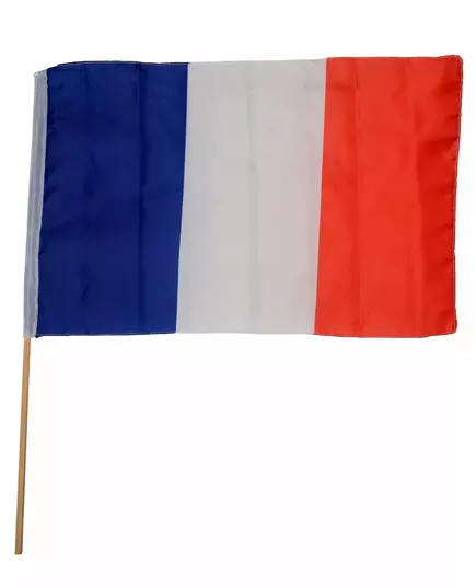 France supporter flag