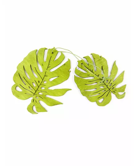 2 grønne tropiske treblader 11 cm