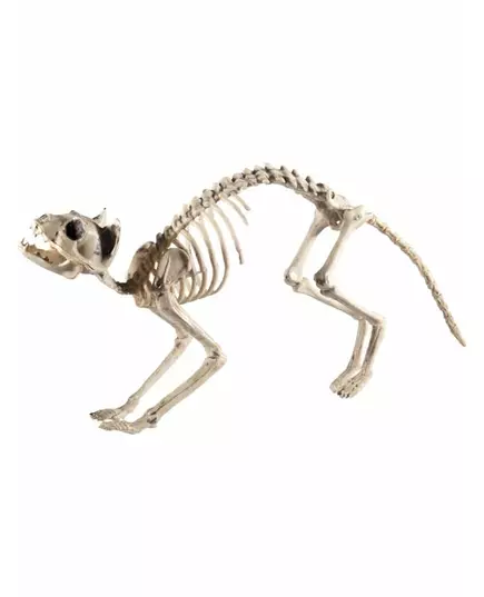 Halloween-skjelettkattdekorasjon