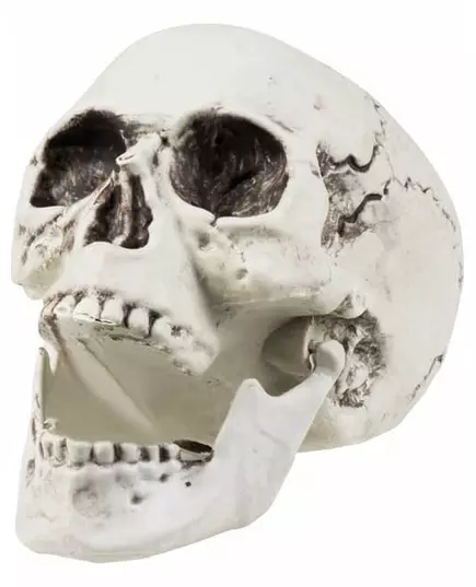 Hodeskalledekorasjon 24 x 18 cm Halloween