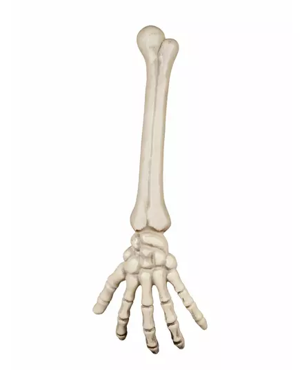 Skeleton hand 46 cm Halloween