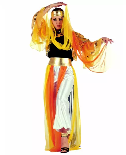 Women's oriental dancer costume with veil, Size: Medium