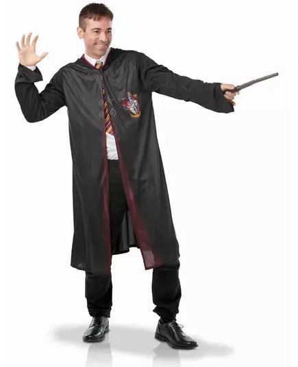 Harry Potter adult costume with accessories