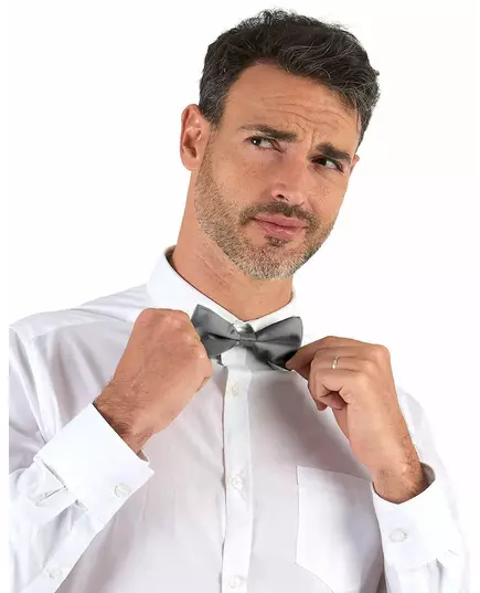 Adult silver bow tie
