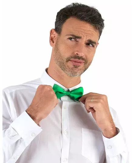 Adult green bow tie
