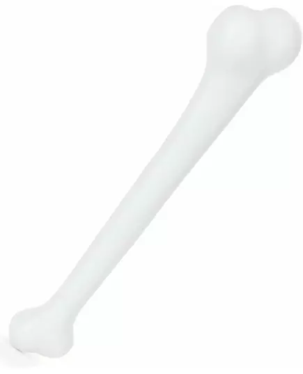 Plastic bone