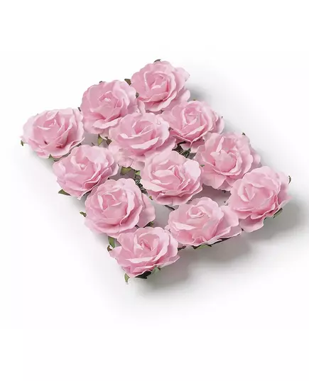12 Pink Roses to Prick