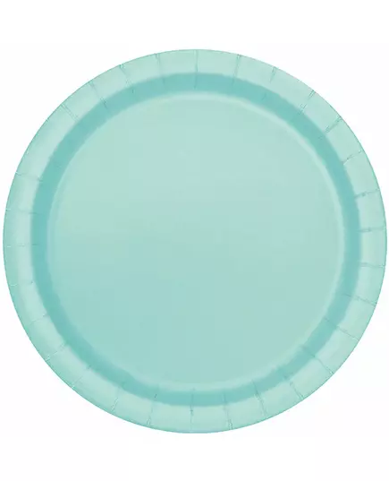16 Mint Paper Plates 22 cm