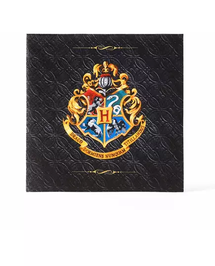 20 Harry Potter papirservietter 33 x 33 cm