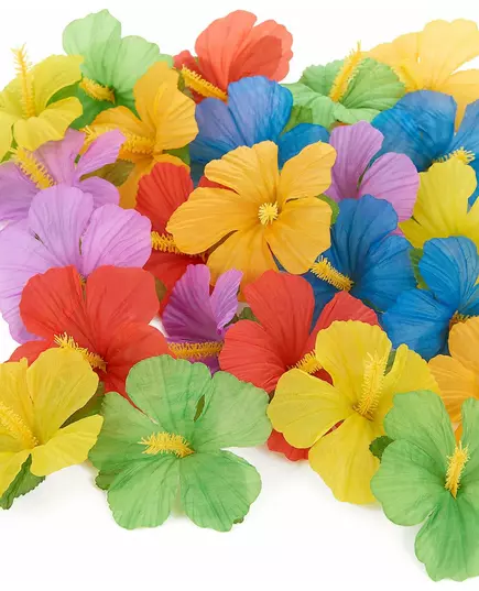 24 Hawaiian flowers