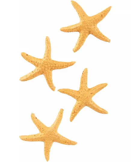 4 harpikssjøstjerner 4,5 cm