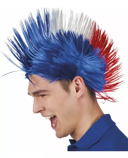 Punk wig France