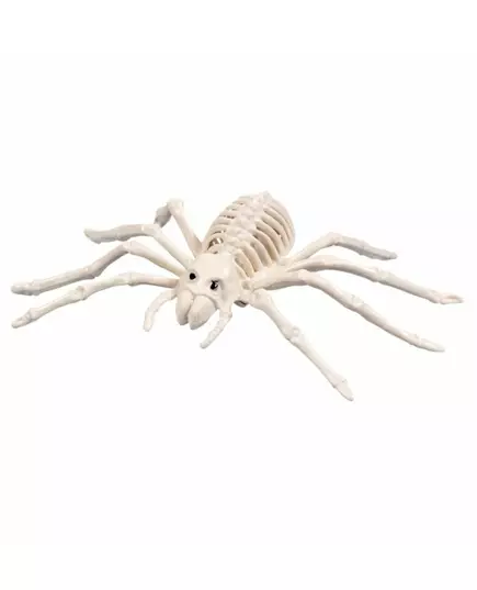 Skjelett-edderkopp 35 cm