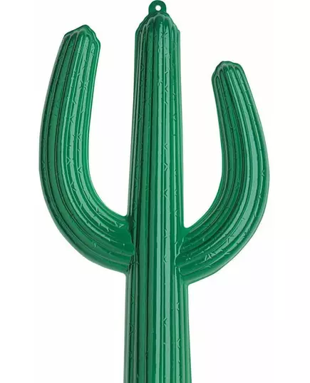 Cactus 36 X 62 cm