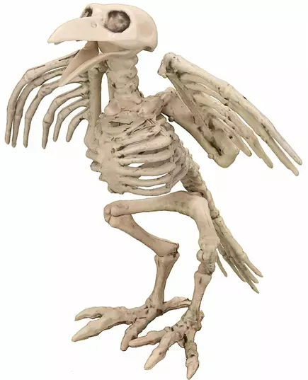 19,5 cm Halloween-kråkeskjelettdekorasjon