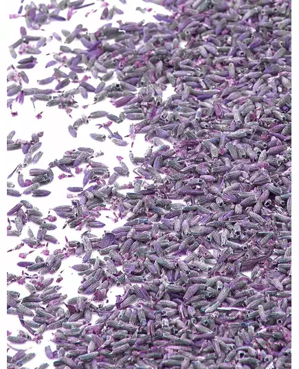 1 kg pose med naturlige lavendelblomster