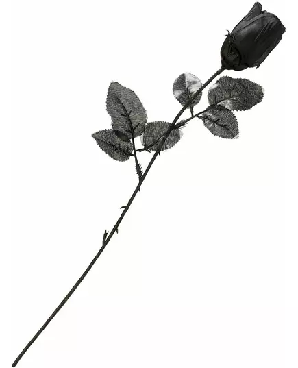 Black rose