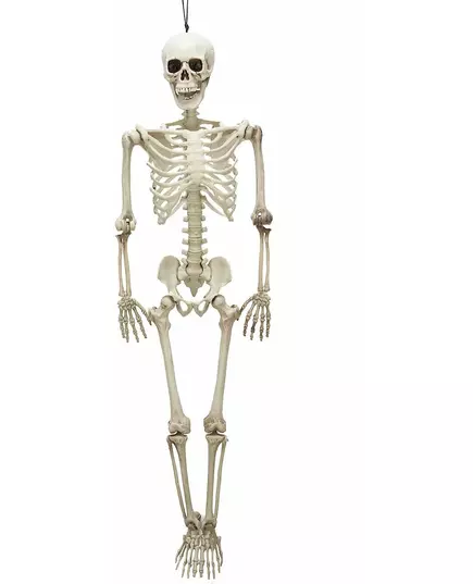 90 cm Halloween Articulated Skeleton