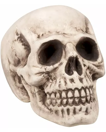 Skull 23 x 22 x 31 cm
