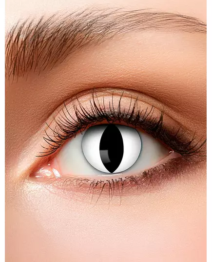 Cat eye fancy linser 3 måneder voksen