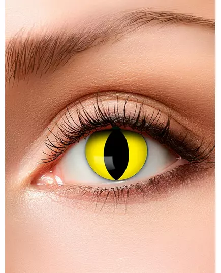 Snake Eye fancy linser 3 måneder voksen