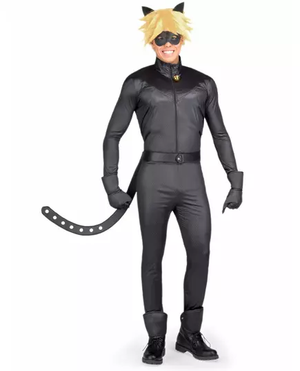 Miraculous Cat Noir adult costume box, Size: Small