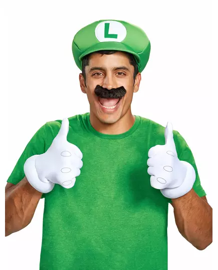Luigi Adult Accessory Set, image 2