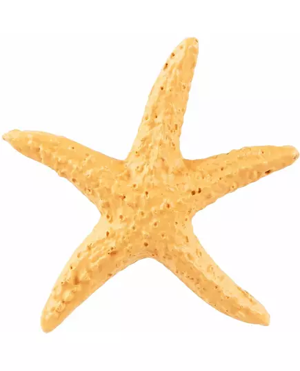 4 harpikssjøstjerner 4,5 cm, bilde 2