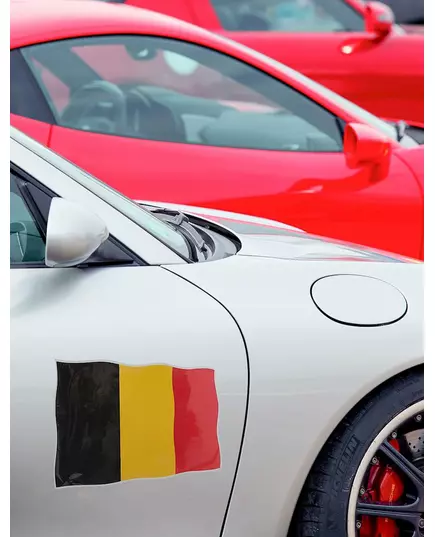 Belgium car sticker 22 x 33 cm, image 2