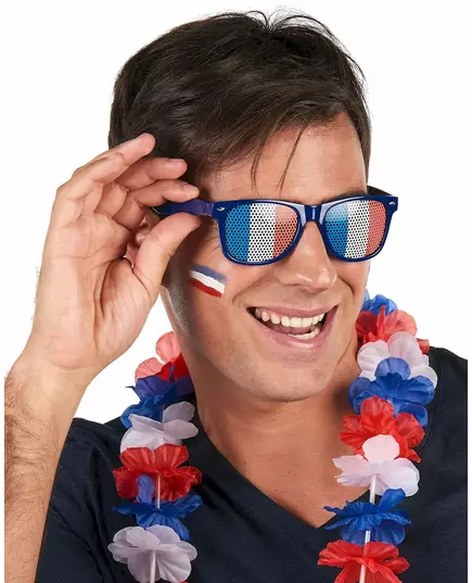 Adult France flag supporter glasses, image 2