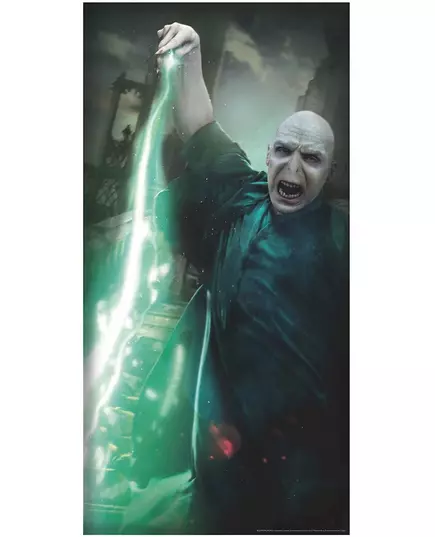 Harry Potter Voldemort Door Decoration, image 2