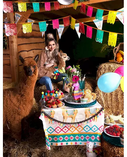 Mexican polyester garland with pompoms 2 m, image 2