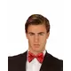 Adult metallic red bow tie