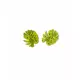 10 Wooden confetti tropical leaves 4 cm