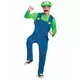 Klassisk Luigi-kostyme for voksne, Størrelse: X-Large