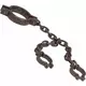 Prisoner's chain for neck and wrists