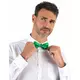 Adult green bow tie