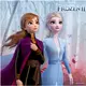 20 Frozen 2 Paper Napkins 33 x 33 cm